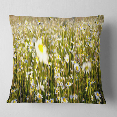 Champ de fleurs de camomille sauvage - coussin à imprimé floral