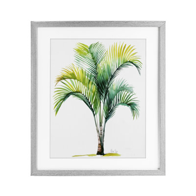 Coastal Canopy Palm Tree Framed Print Under Glass, design by Shelly Craig