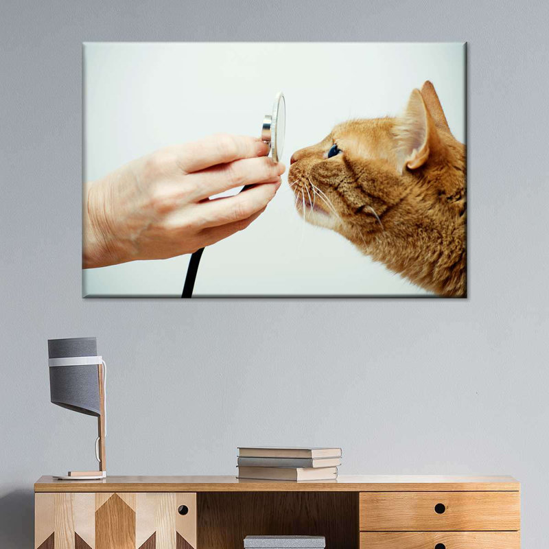 Chat chat sur toile, H 16 po x l 24 po x P 1,25 po