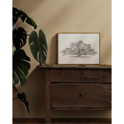Sketch Tree of Life Framed Canvas, Rustic Cottage Wall Decor, 12×16