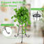 Wobna Metal Weather Resistant Plant Stand