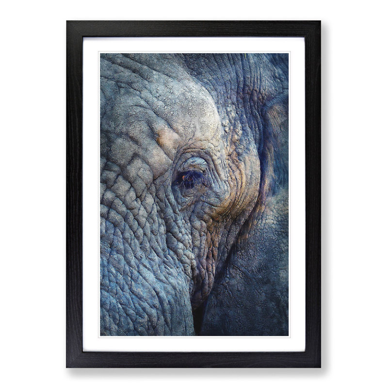 Blue Elephant - Picture Frame Photograph Print, Black Framed, 33cm H x 24cm W x 2cm D