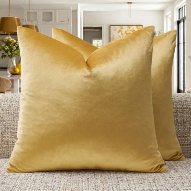 Ensemble de 2 coussins décoratifs en velours brun 18 x 18, Brown, Carré 18 po