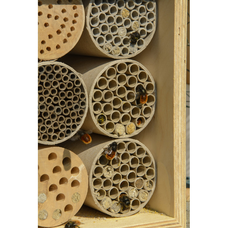 Free Standing Bumblebee House