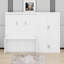 Grand lit escamotable avec placard