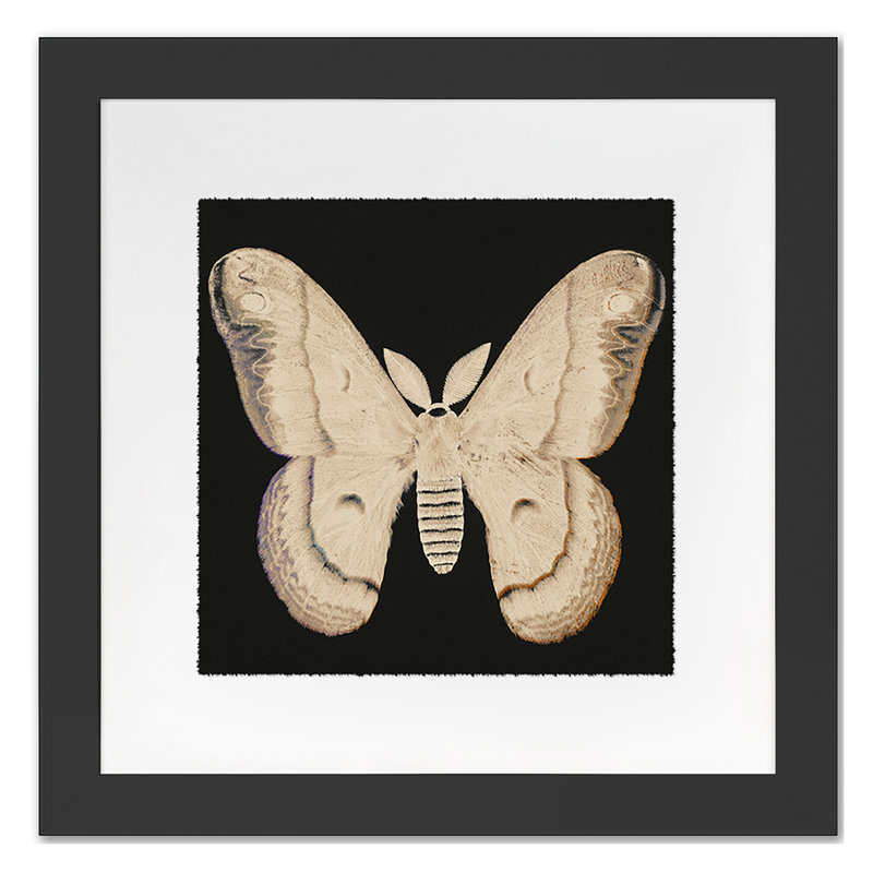 Flutter 6 Print by Todaro, Katie