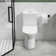 Advanced Dual-Flush Toilet with Comfort Seat and Efficient Flushing System