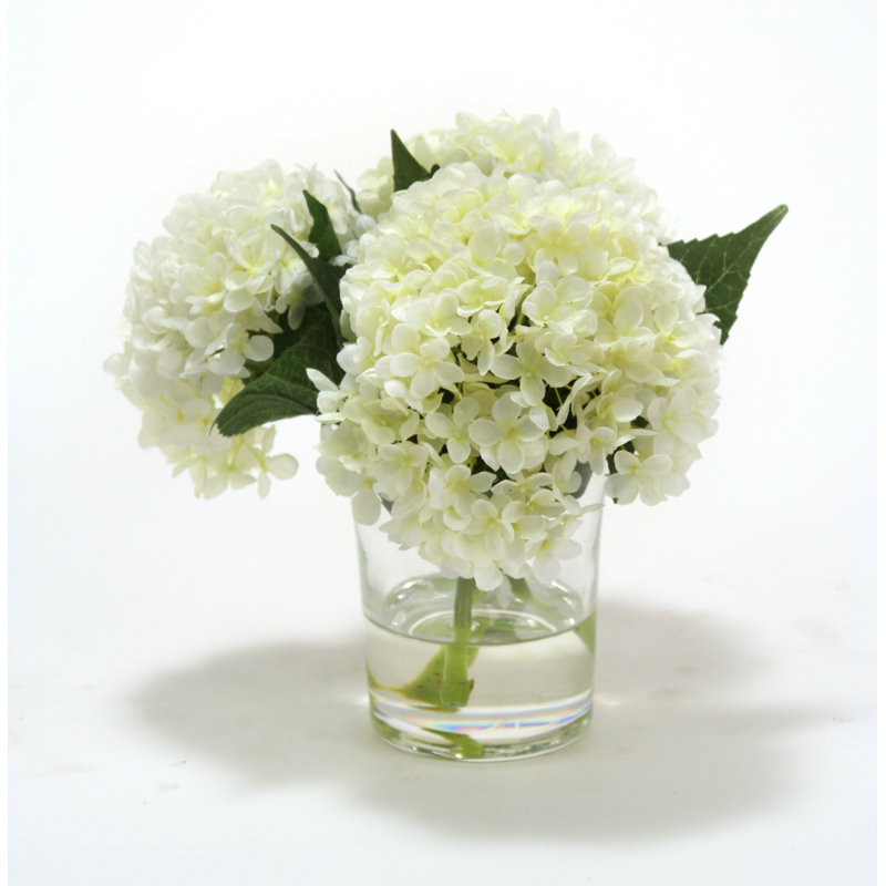 Hortensias blanc dans un cylindre en verre