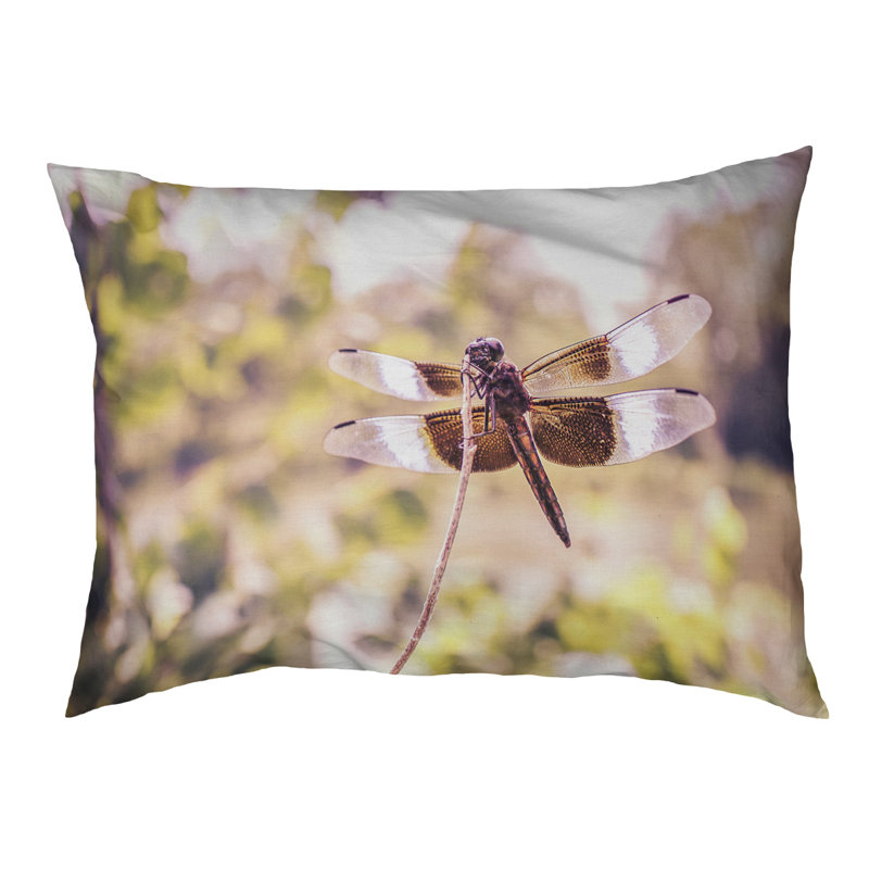Coussin stylisé libellule Burnell, L 42 po x l 52 po, Noir