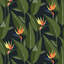 Birds of Paradise - Wallpaper-91678344-179639898