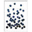 Large Indigo Spray 1 Print