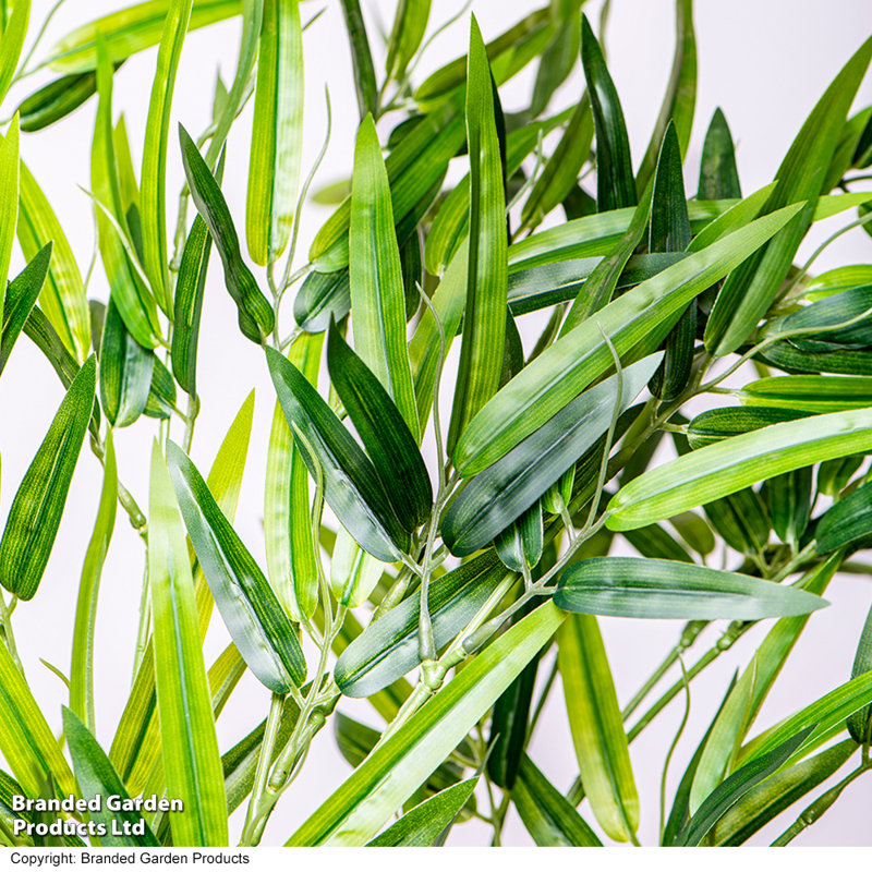 150cm Bamboo Tree in Pot