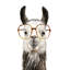 Hip Llama III by Victoria Borges - Painting-15227931-15227947