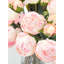 Pivoines séchées | Mariage artificiel 9 tiges | Décoration intérieure | Cadeaux | Fleurs décoratives-668675492