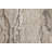 Shabari Abstract Indoor Rug-406233950