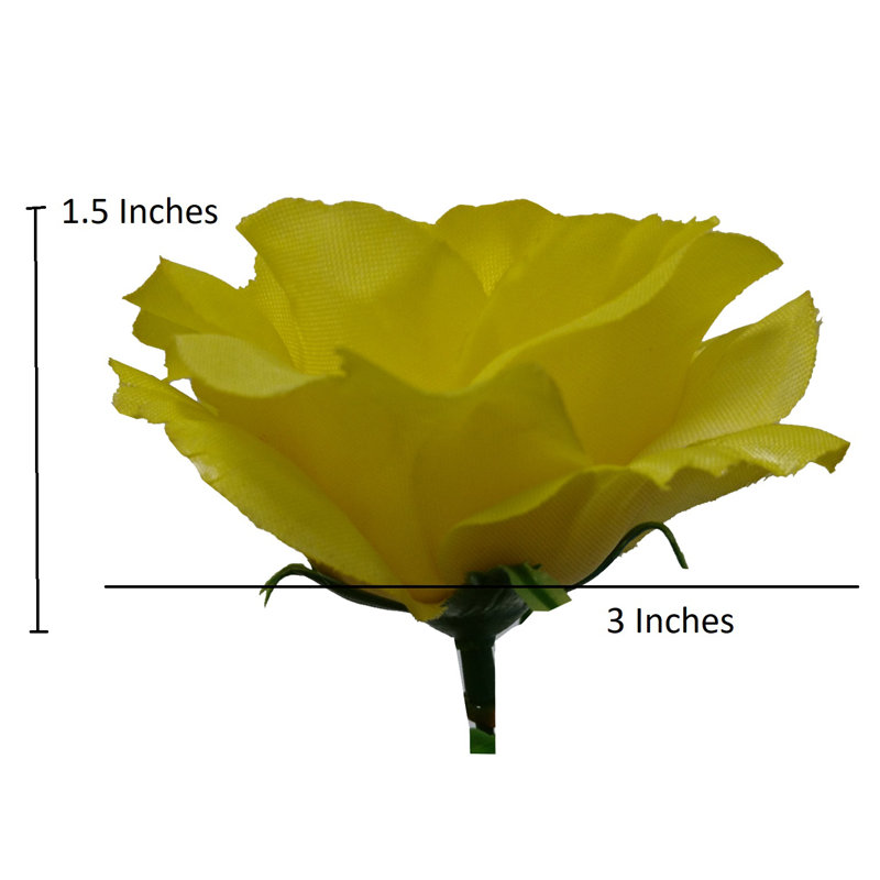 18 fleurs roses en pleine floraison, Jaune