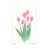 Pink selected