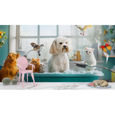 Animal Bath