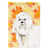 Bichon maltais crème