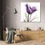 X-ray royal mauve tulipe-1212984821
