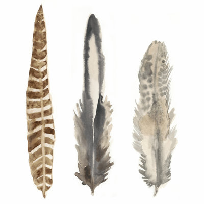 Plumes aquarelles I