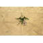 Oak 58cm W Hardwood Flooring-122723097