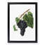 Black Canaiolo Grapes by Giorgio Gallesio - Picture Frame Art Print-55512555-55512554
