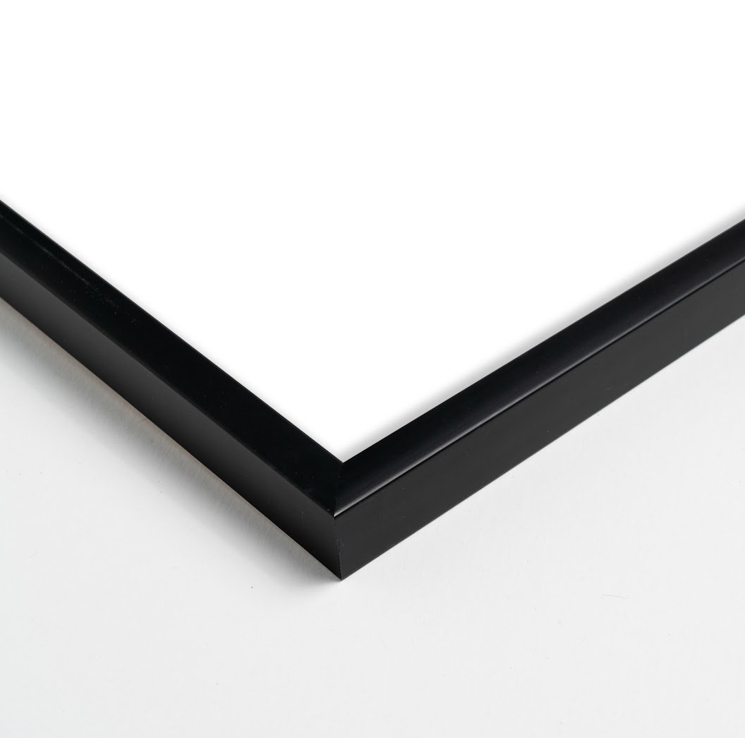 Flora 2 by Lee Lessem, Black, 50" H x 40" W x 1.25" D