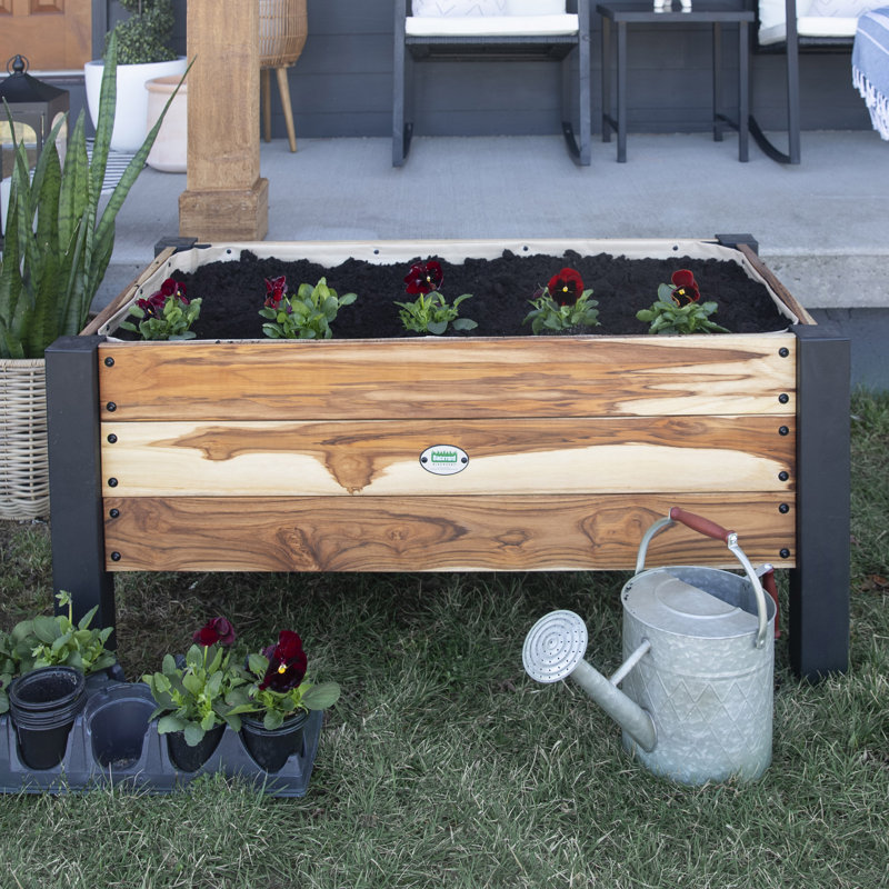 Backyard 10 Cubic Foot Teak Planter with Powder Coated Legs