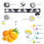 40" Modern 6-Light LED Vanity Light - Sleek Bathroom Wall Fixture, Iron & Acrylic, Dimmable & Energy-Efficient, Ideal For Mirror Lighting