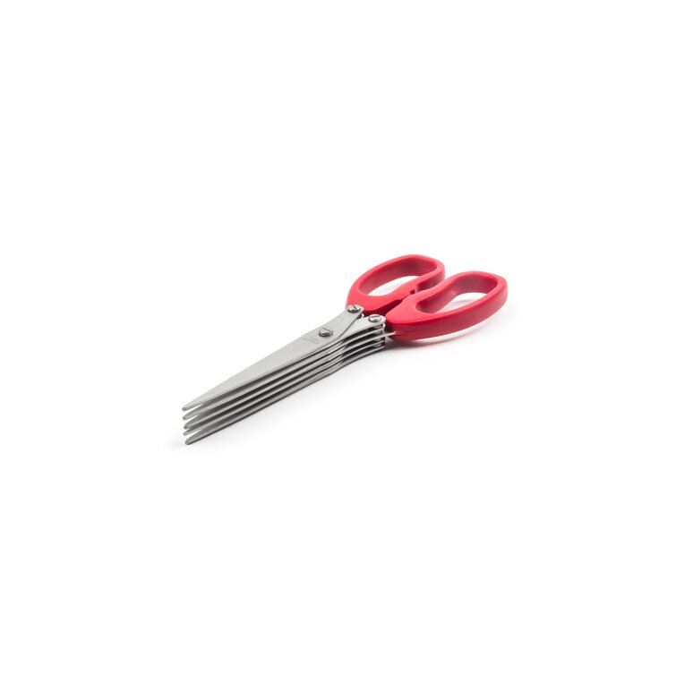 Multi-Blade Herb Scissors