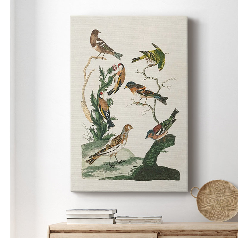 Oiseaux antiques dans la nature I, toile tendue avec châssis de qualité supérieure - prête à être accrochée