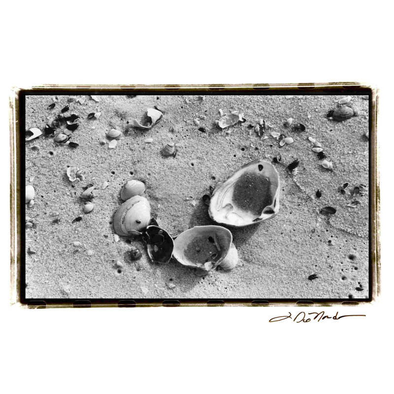 Trésors de sable IV, H 8 po x l 12 po