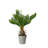 17'' Faux Fern Tree in Cement Pot