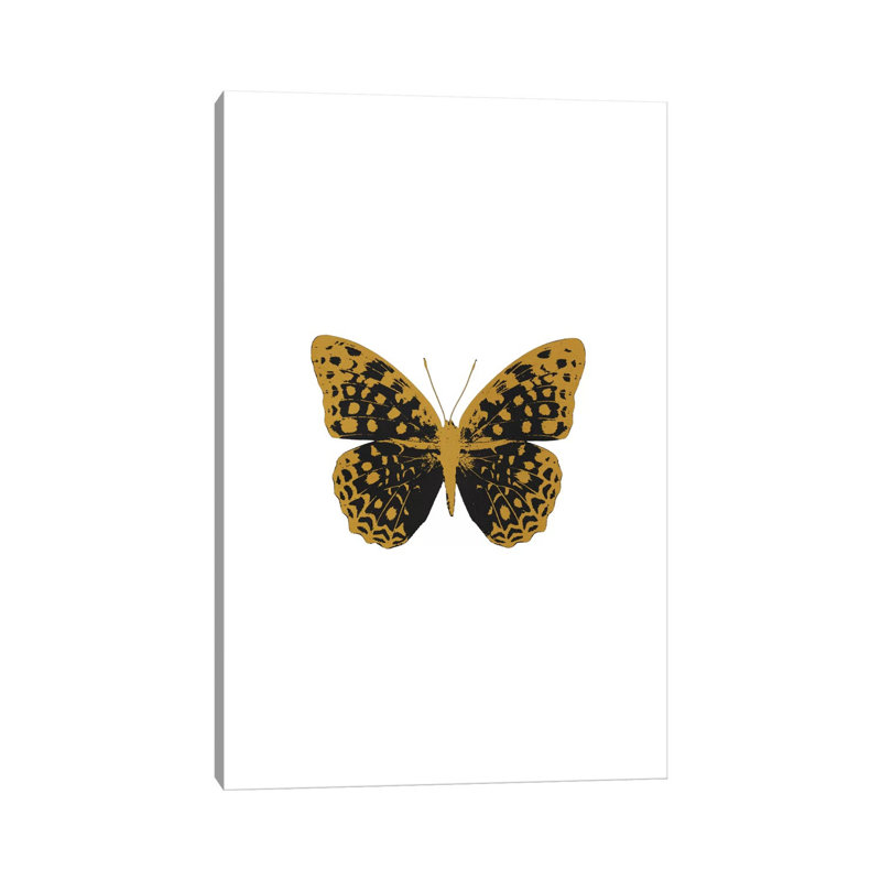 Black Butterfly by Orara Studio - Wrapped Canvas Gallery-Wrapped Canvas Giclée, 20.32 cm H x 30.48 cm W
