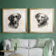 «Charcoal Labrador I», ensemble de 2 peintures encadrées-244631987-244631985