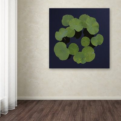 by Kurt Shaffer Print