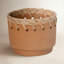 Crimson Planter-1195891445