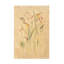 Art sur toile, "Cheri Blum rougissant"-105629572