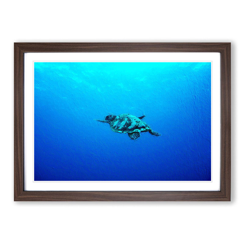 Swimming Turtle - Picture Frame Painting Print, 27cm H x 36cm W x 2cm D, Walnut Framed