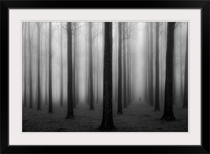 Straub " In A Fog " by Jochen Bongaerts, Black Frame, 24" H x 32" W x 1" D