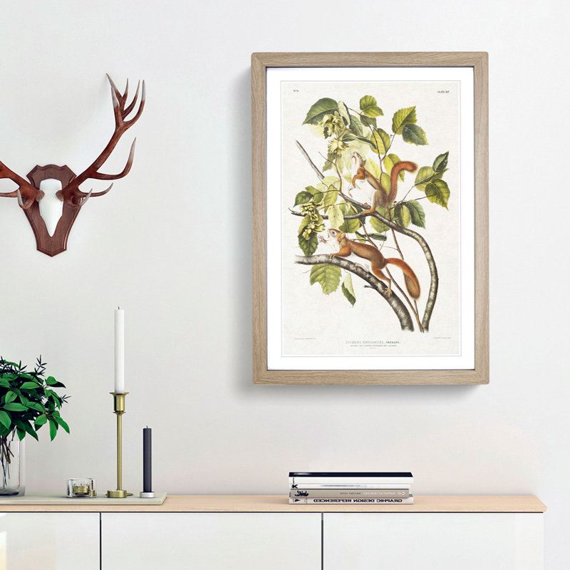 Red Squirrels by J.W. Audubon - Picture Frame Painting Print, Oak Framed, 65cm H x 48cm W x 2cm D
