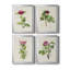 «Pretty Pink Botanicals II», toile encadrée de qualité supérieure - prête à être accrochée-84229763-84229820