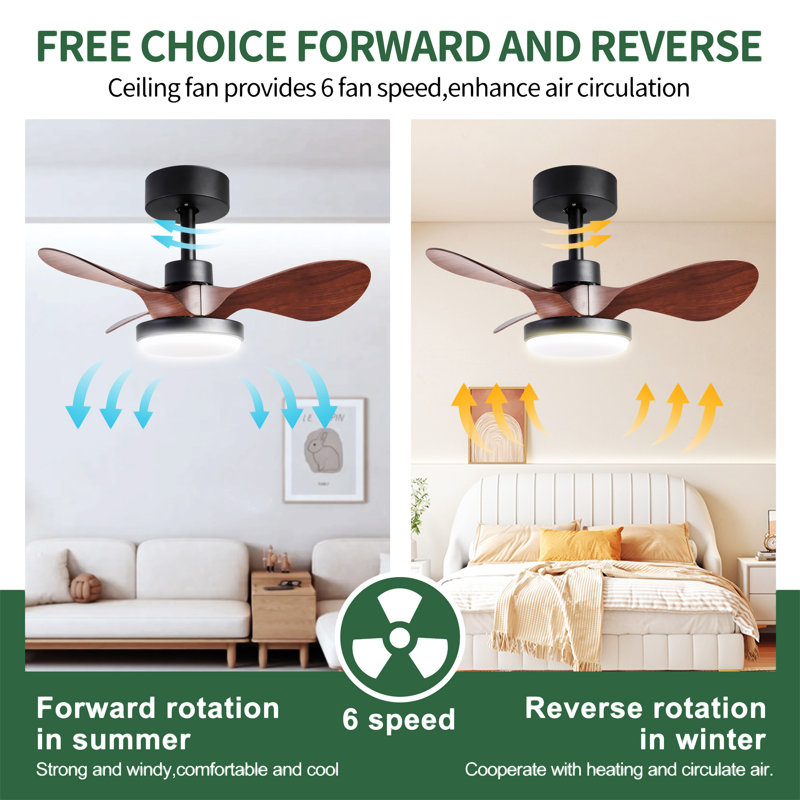 24" Small  Ceiling Fan With Light Remote Control, Brown