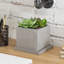 Planter Box