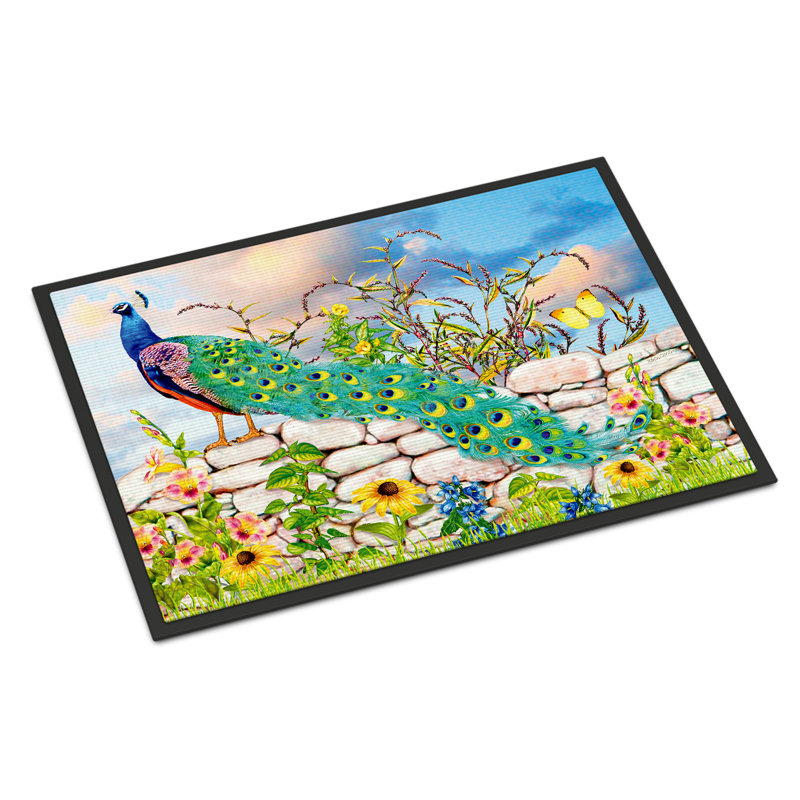 Tapis d'entrée antidérapant Driffield L 27 po x l 18 po, Fier paon