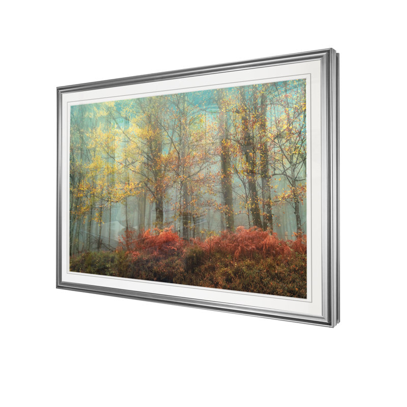 «Beeches in the Mist», reproduction, H 22 po x l 30 po x P 1,5 po, Cadre argenté