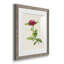 Pretty Pink Botanicals II - ensemble de 4 reproductions de cadres photo-1342891447-1342891403
