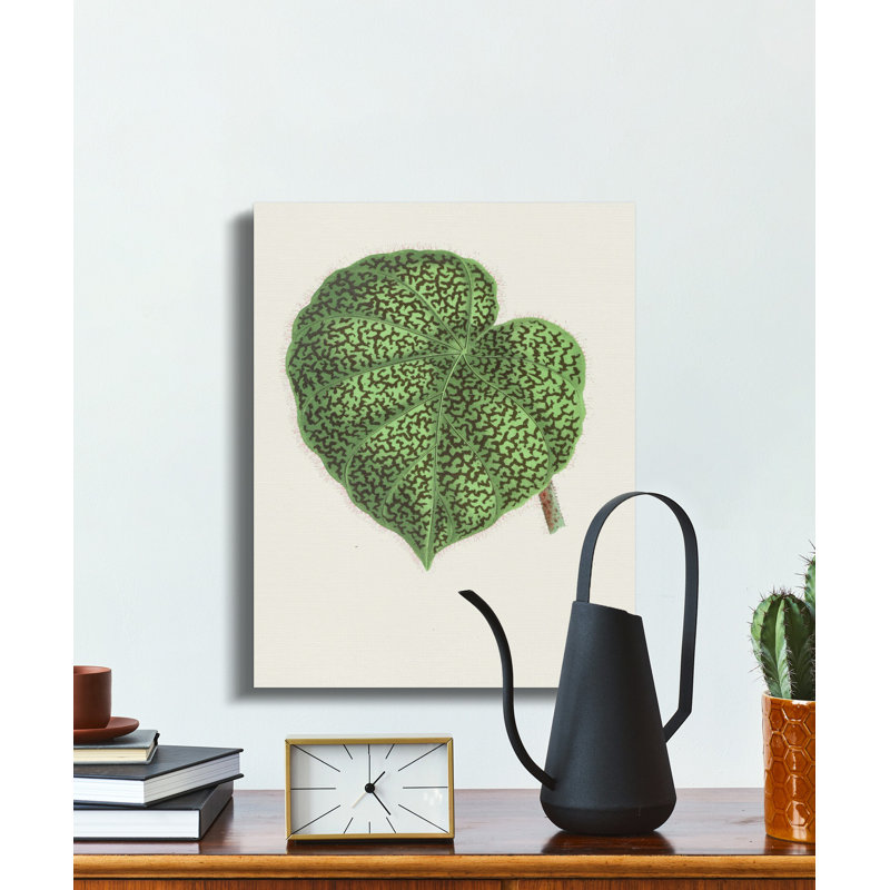 Hesse Wrapped Canvas Print Set, 16x24