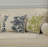 100% Cotton Throw Pillow-122201615-122201616